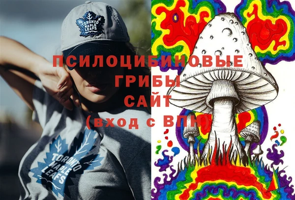 дживик Няндома