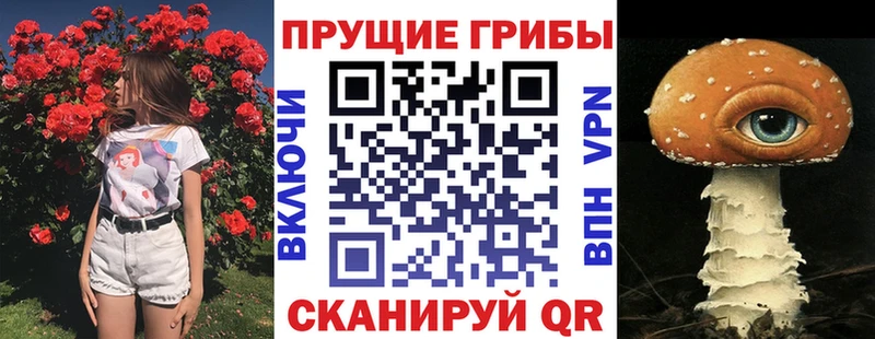 Галлюциногенные грибы Psilocybine cubensis  Гаджиево 